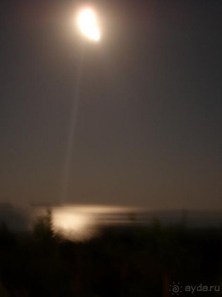 фото  Hotel Ambiente