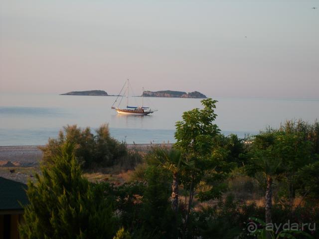 фото  Hotel Ambiente