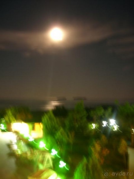 фото  Hotel Ambiente