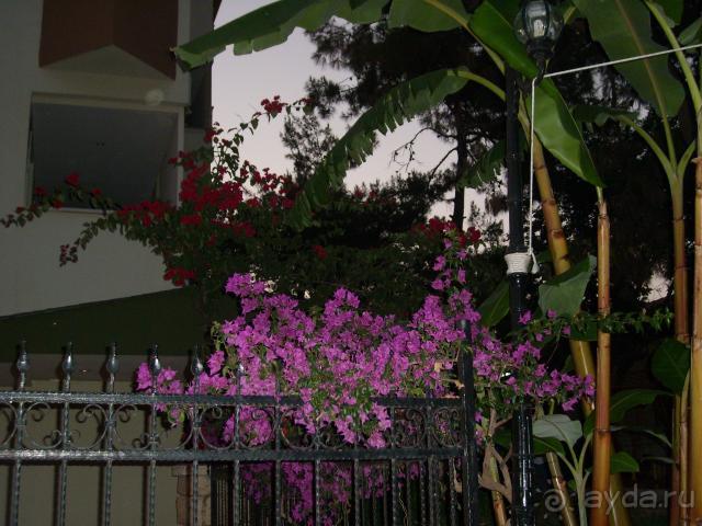 фото  Hotel Ambiente