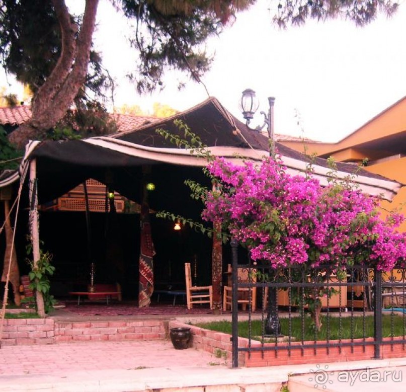 фото  Hotel Ambiente