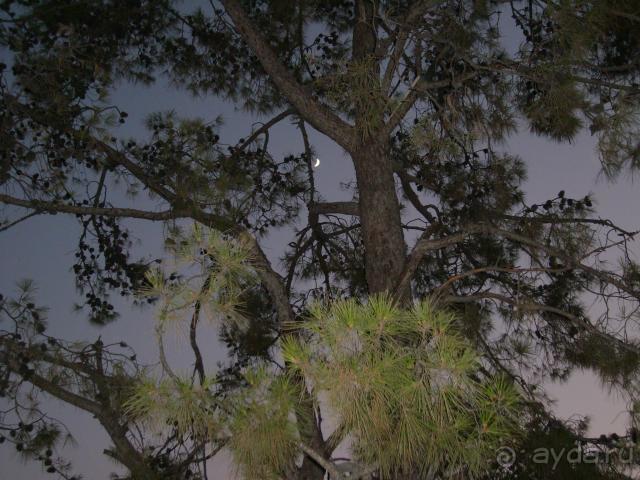 фото  Hotel Ambiente