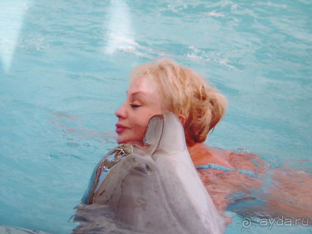 фото  Hotel Ambiente