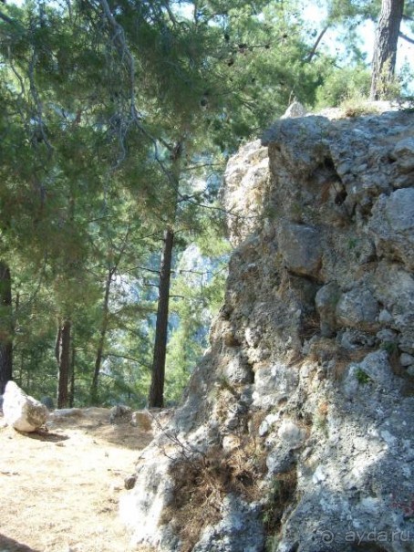 фото  Hotel Ambiente