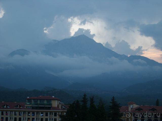 фото  Hotel Ambiente