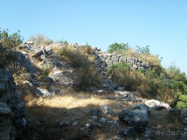 фото  Hotel Ambiente