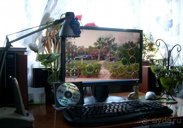 фото  Hotel Ambiente