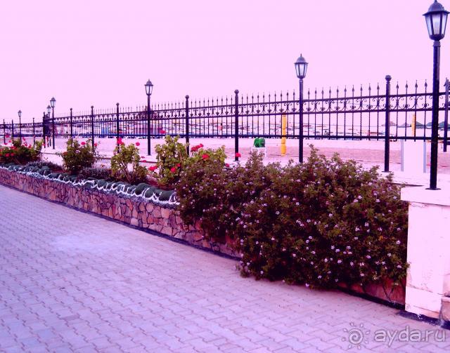 фото  Hotel Ambiente