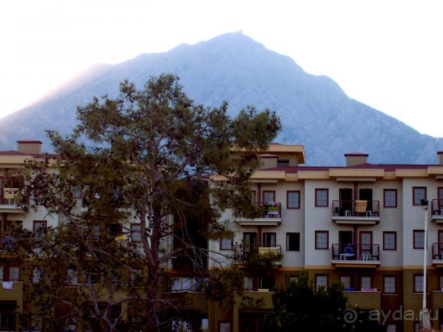 фото  Hotel Ambiente