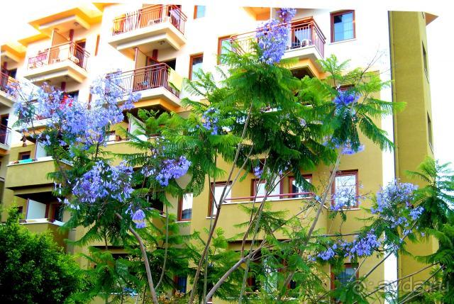 фото  Hotel Ambiente