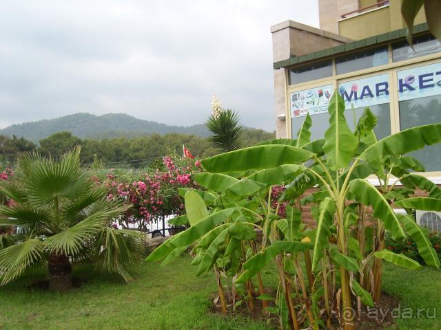 фото  Hotel Ambiente