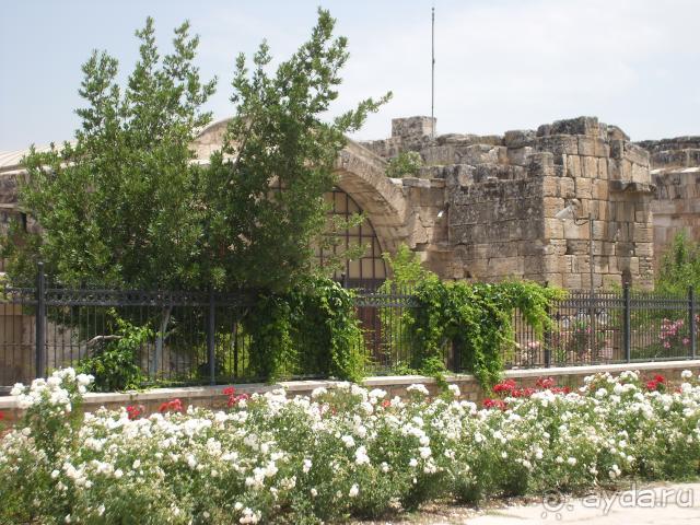 фото  Hotel Ambiente