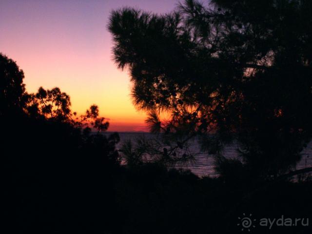 фото  Hotel Ambiente