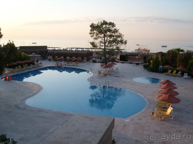 фото  Hotel Ambiente