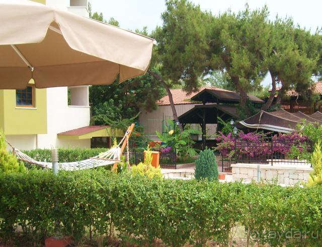 фото  Hotel Ambiente