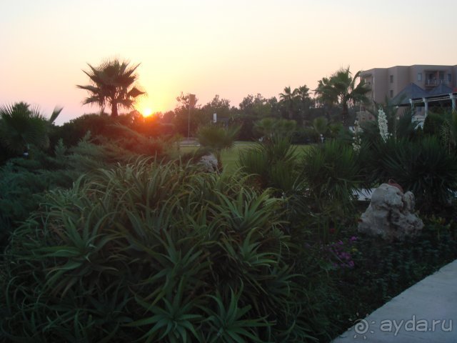 фото Глория