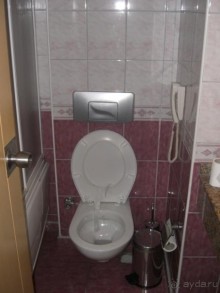 фото Ananas Hotel