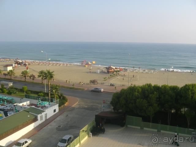 фото Ananas Hotel