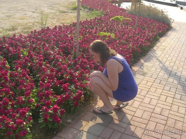 Я не придирчивая мне просто есть с чем сравнить!