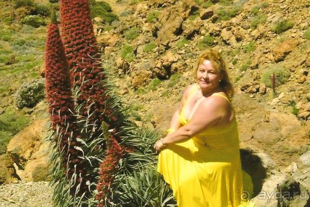 Мы рисковали, едя с Альфа Тревел.