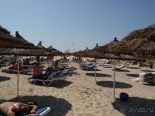 Общая оценка 4-