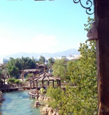 Если бы это была первая линия...