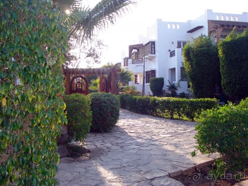 Если бы это была первая линия...