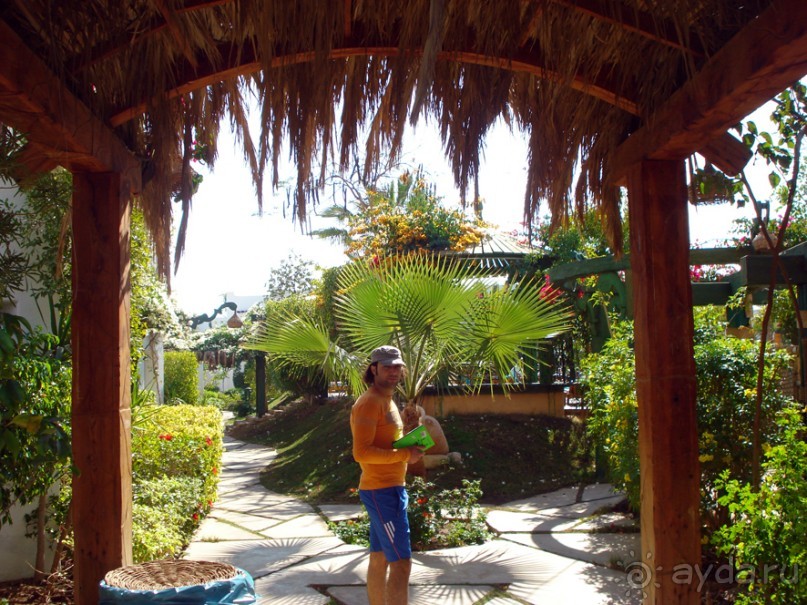 Если бы это была первая линия...