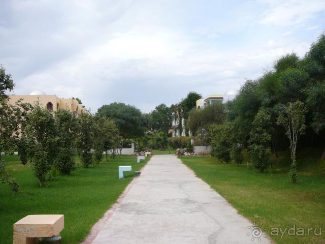 Пионерлагерь для всех