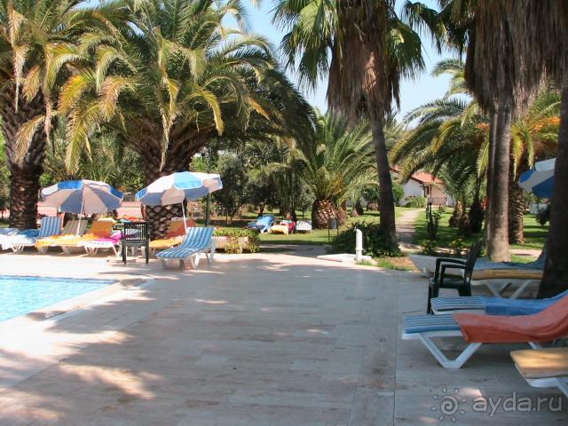 Кусочек рая-Sural-2008