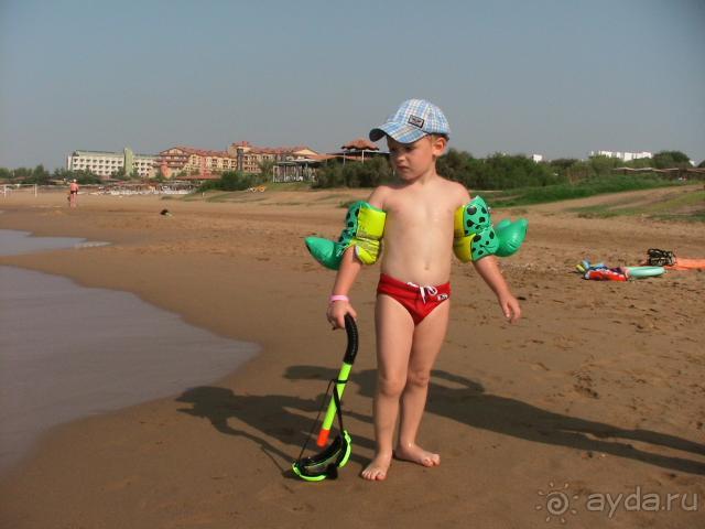 На кромке моря