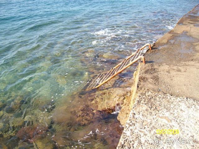 Жудкая реальность