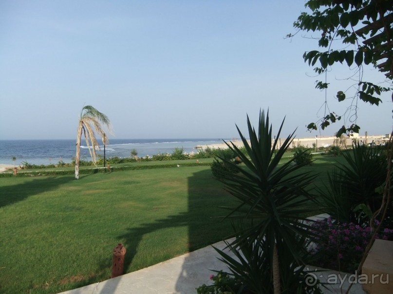 В Марса Аламе всегда волны и ветер.