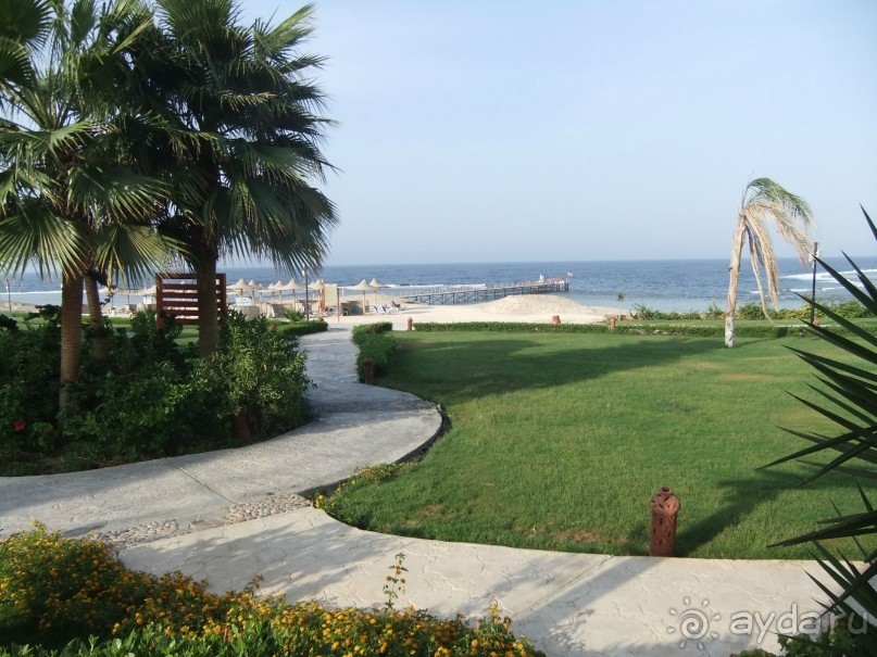 В Марса Аламе всегда волны и ветер.