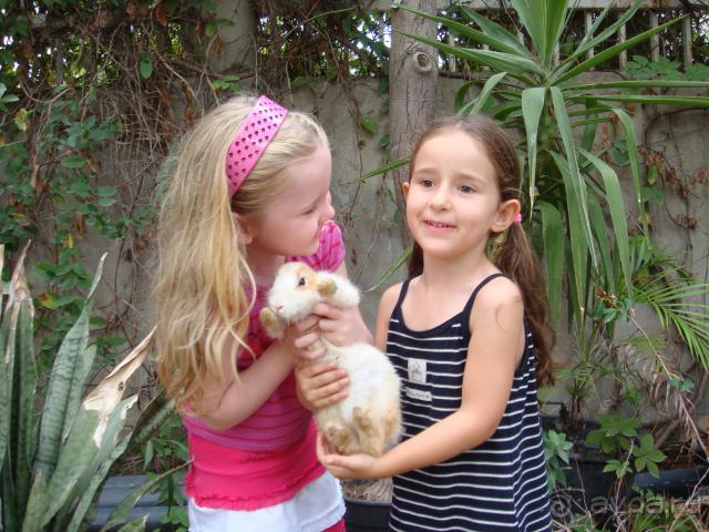 Очень понравилось