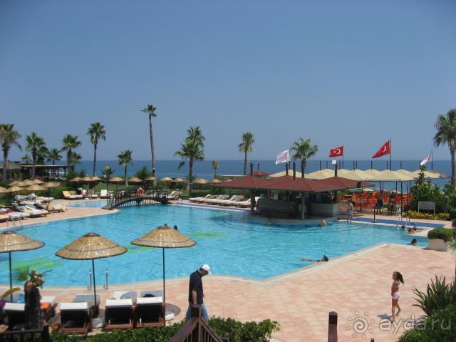 Бассейн и бар 