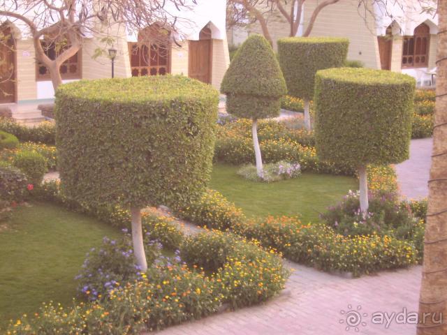 Не оправдал ожиданий!