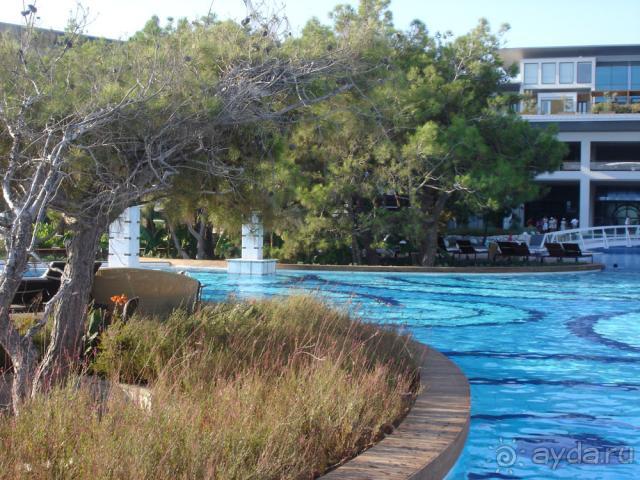  Мы приехали здоровые, сытые и отдохнувшие!