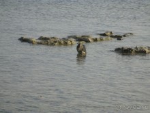 фото Grand Waterworld Makadi 