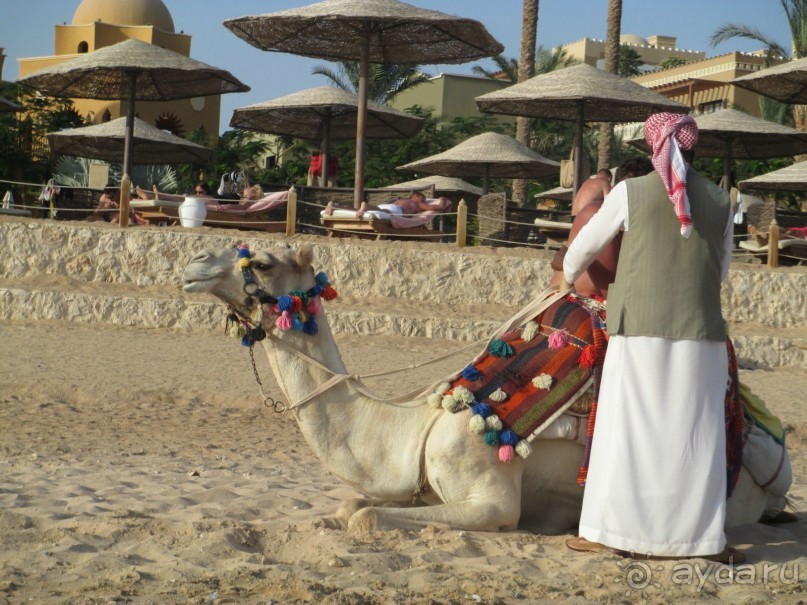 фото Grand Waterworld Makadi 