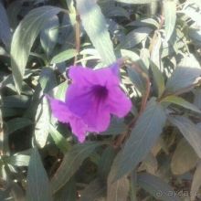 фото Grand Waterworld Makadi 