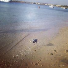 фото Grand Waterworld Makadi 