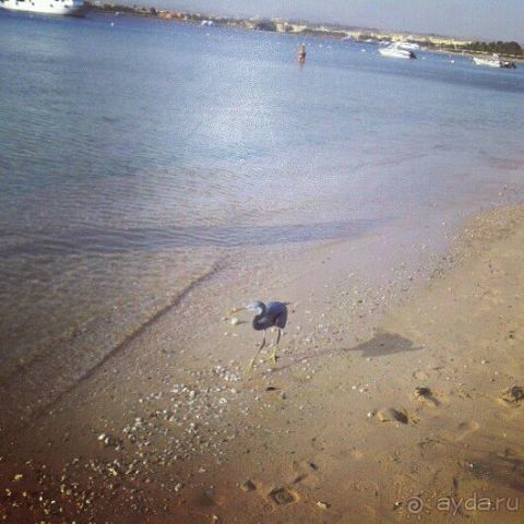 Отель не плох, но можно и лучше.