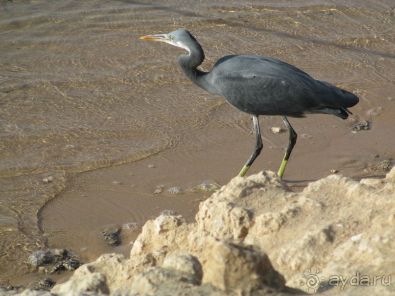 Отель не плох, но можно и лучше.