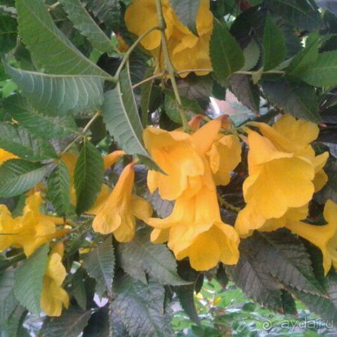 Отель не плох, но можно и лучше.