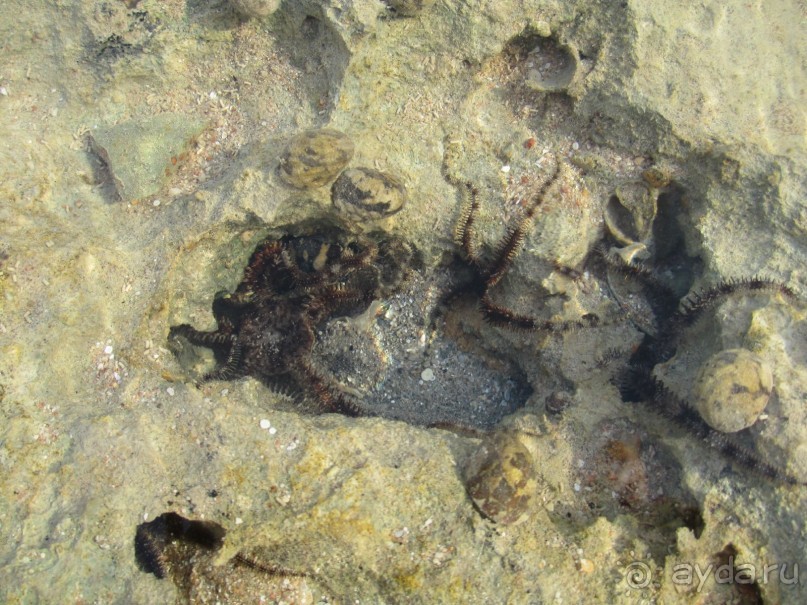 Отель не плох, но можно и лучше.