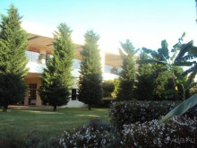 фото Suntopia Pegasos Tropical