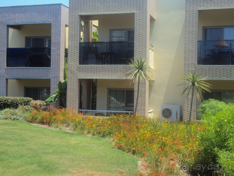 фото Suntopia Pegasos Tropical