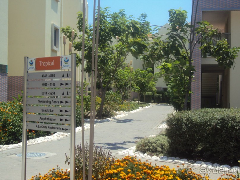 фото Suntopia Pegasos Tropical