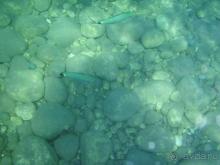 Вы получите удовольствие :)))